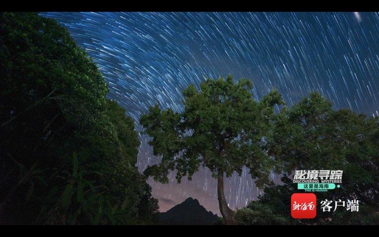 泰兴新城湖畔天境|极致产品力造就东方观邸 湖居典范之作