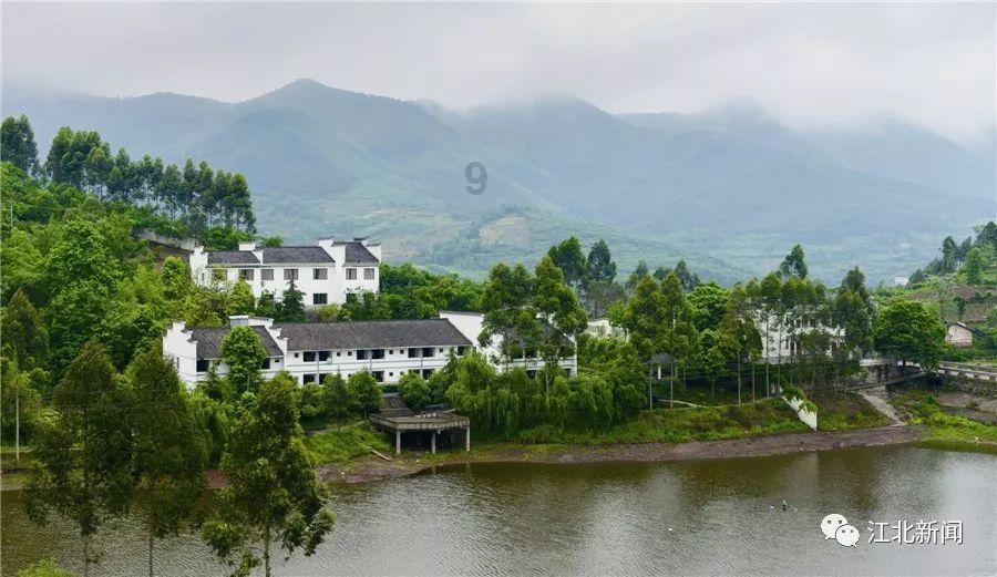 全民剧本大师内置菜单