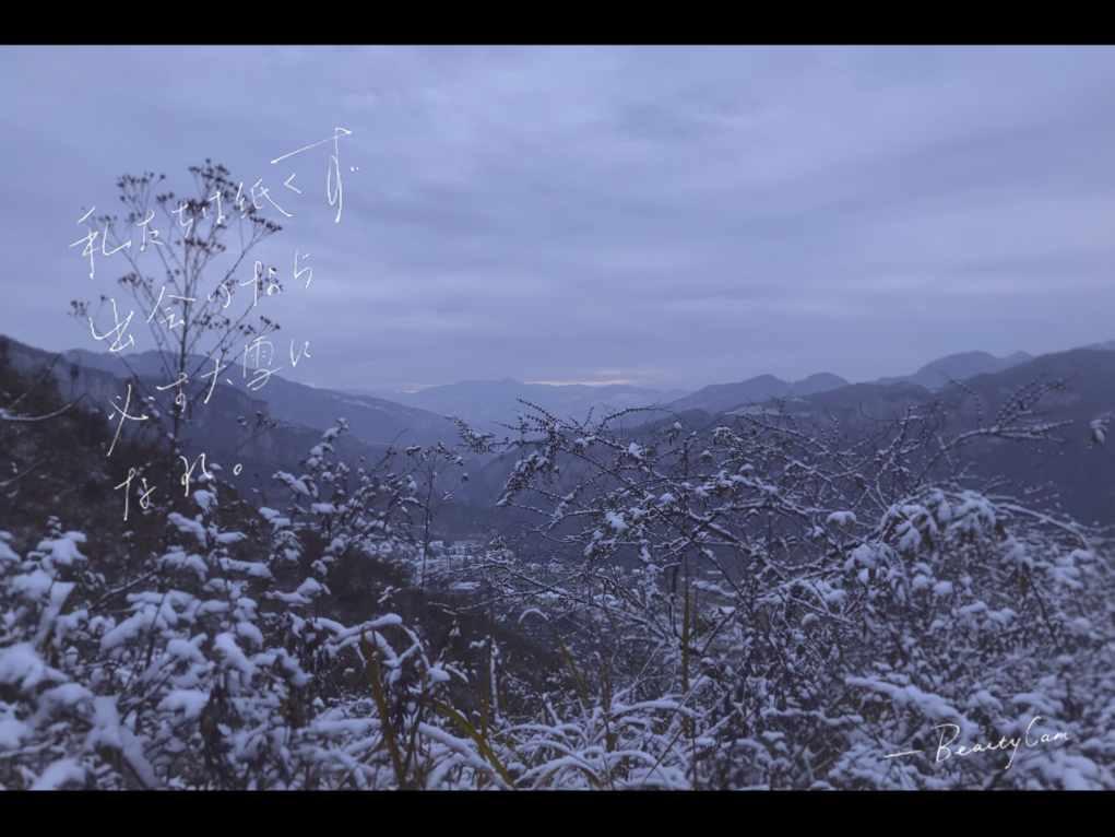 胡同人生：在传统中生活与老去