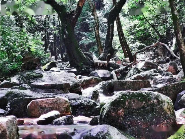 童话世界找不同