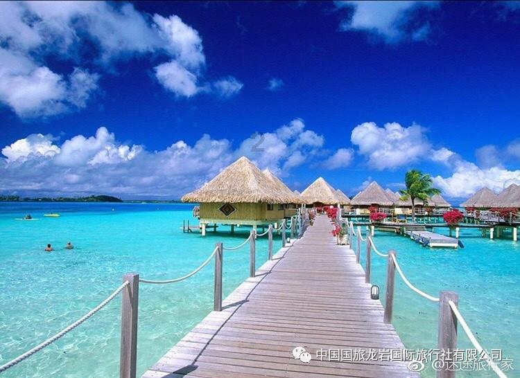 为了满足您对肾保健的需求，我们为您精选了七种专业补肾的食材