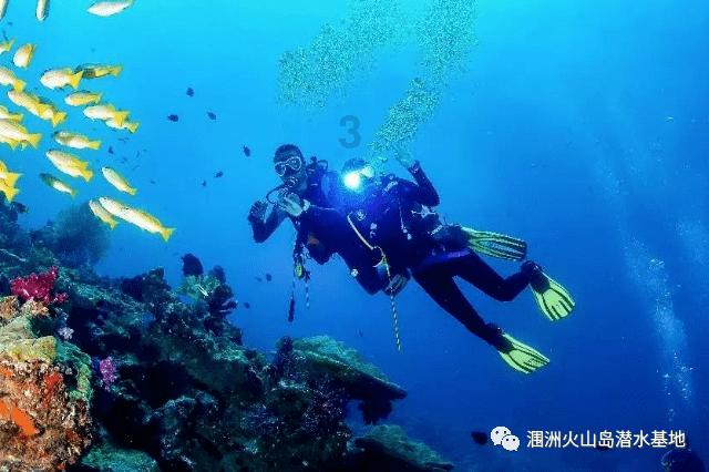 数数救伙伴