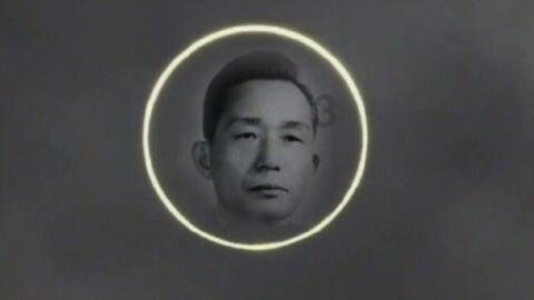 逗小猴开心系列214