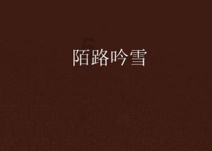 月光影视