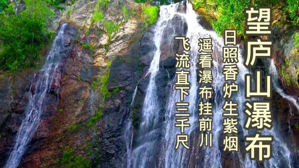 月光影视