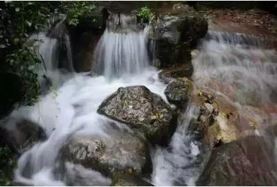 逃离椰子岛