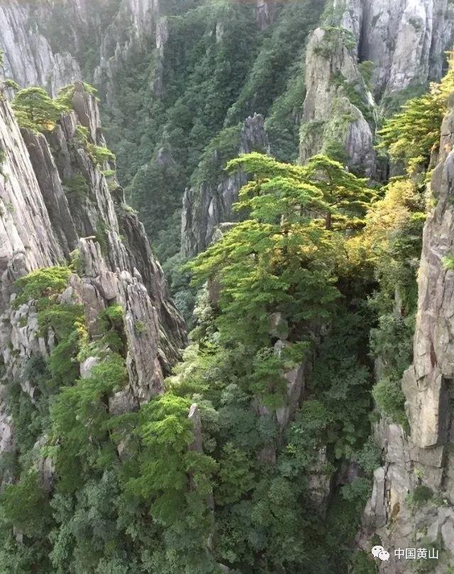 仪表盘显示一个车上面有两个竖着的s是什么意思？游戏画面