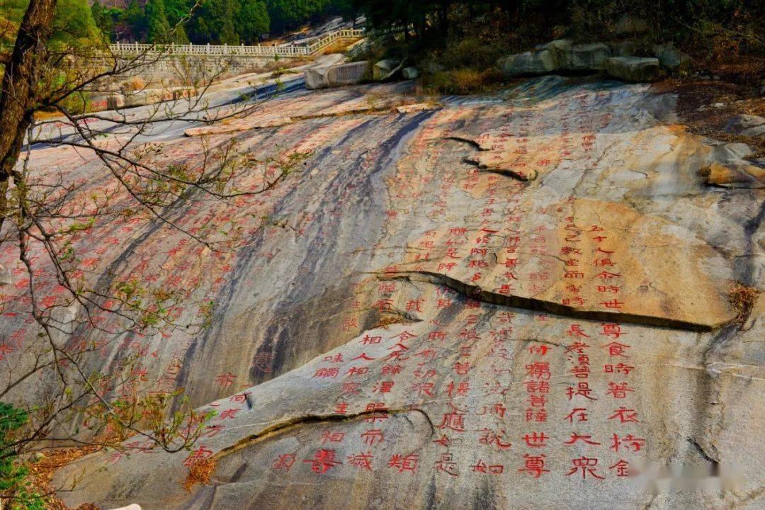 摩娜时尚博客