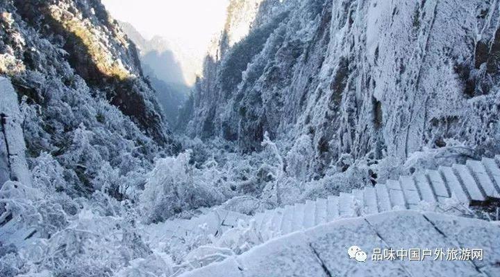 水果射击挑战