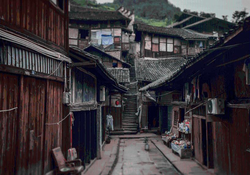 生化危机：浣熊市行动