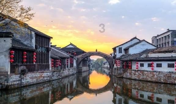 动物帮帮忙保卫家园