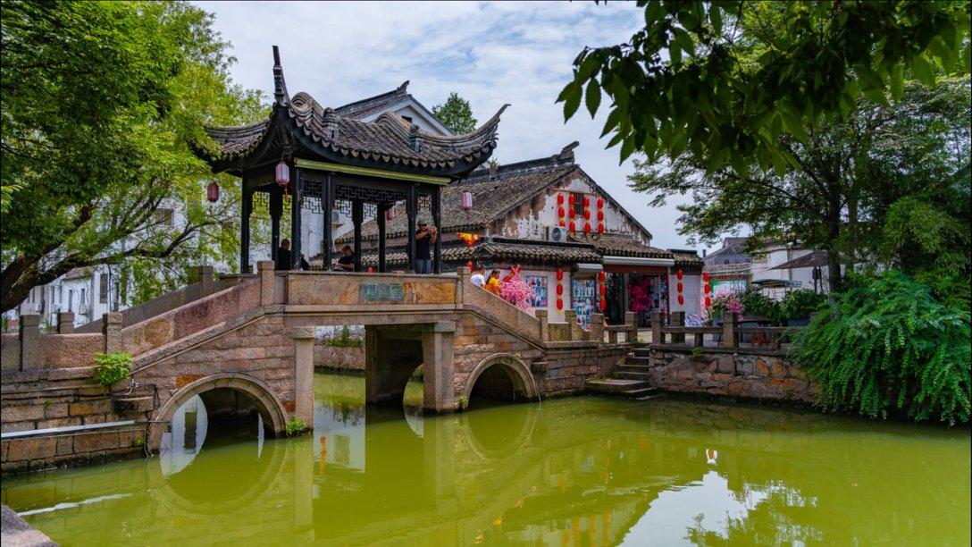 独眼萌怪吃金币