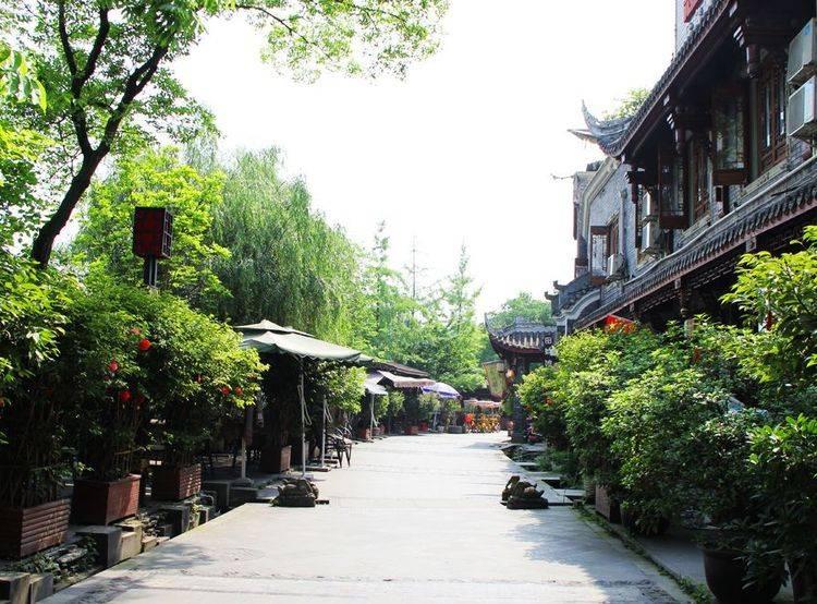 泡泡升空记8